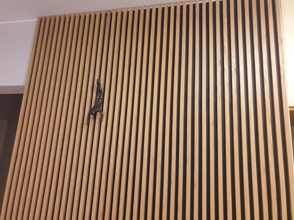 扎科帕内Apartament Szymoszkowa公寓 外观 照片